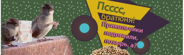 Пятницу не провтыкай! Семки со скидкой покупай!