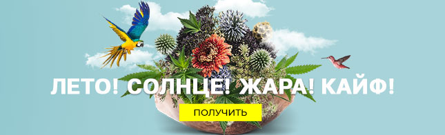 Лето! Солнце! Жара! Кайф!