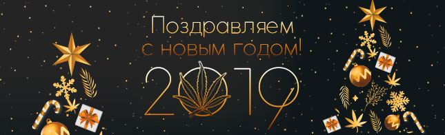 Новогодний подарок от Errors Seeds