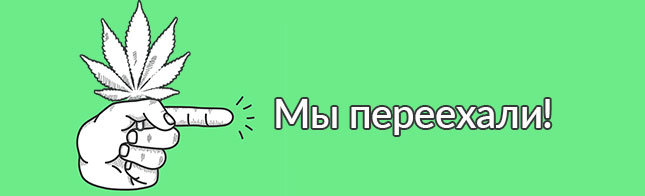 Мы переехали