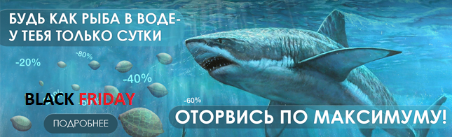 Только сутки, только сейчас - Black Friday! 