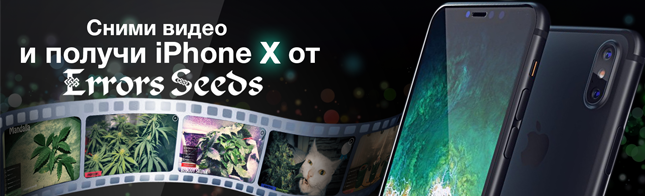 Получи iPhone X от Errors Seeds!