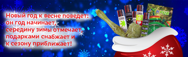 На стук в двери - открывайте, Новый Год с подарками встречайте!