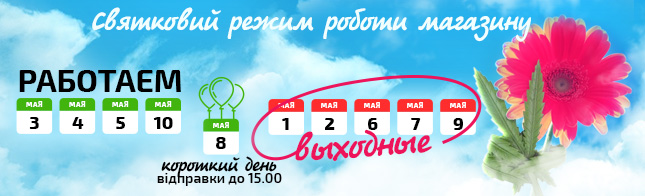 Праздничный график
