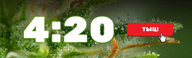 4:20 20.04.2017 новая акция от Errors Seeds!
