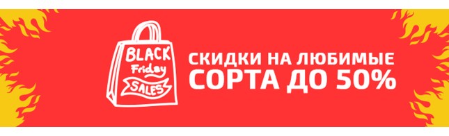 Распродажа в Black Friday уже скоро!