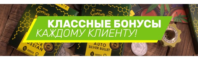 Масштабная акция на Errors-Seeds!