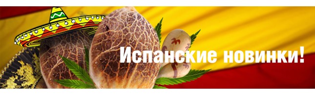 Испанские новинки!