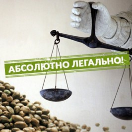 Покупка и хранение семян - абсолютно легально!