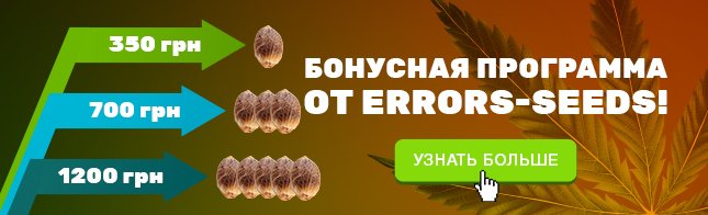 Бонусная программа