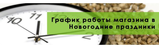 График работы на новогодние праздники 19.12.2016