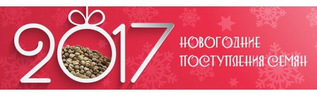 Новогодние поступления семян