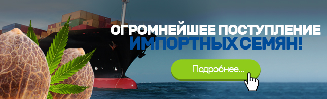 Огромнейшее поступление импортных семян!