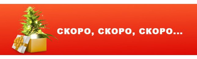 Результаты опроса