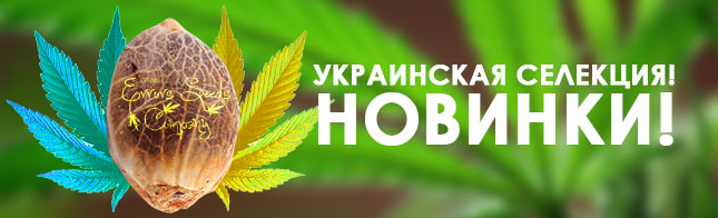 Украинская селекция! Новинки!