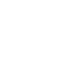 Neuroseeds