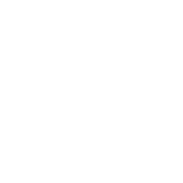 Mandala Seeds