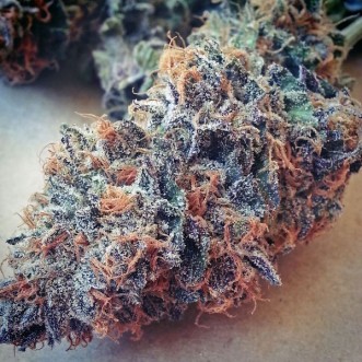 Семена конопли Ultimate Purple Silver