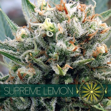 Семена конопли Supreme Lemon Feminised